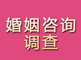 吉林市婚姻咨询调查